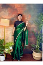 Tissue Raga Saree with Velvet Lace Border - Image 3
