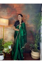 Tissue Raga Saree with Velvet Lace Border