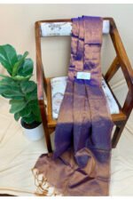 Tissue Raga Saree With Stripped Pallu - Image 3