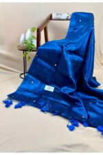 Tissue Raga Saree with Ginni Handwork