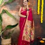 Plain Sequin Line Saree with Paithani Pattern Pallu
